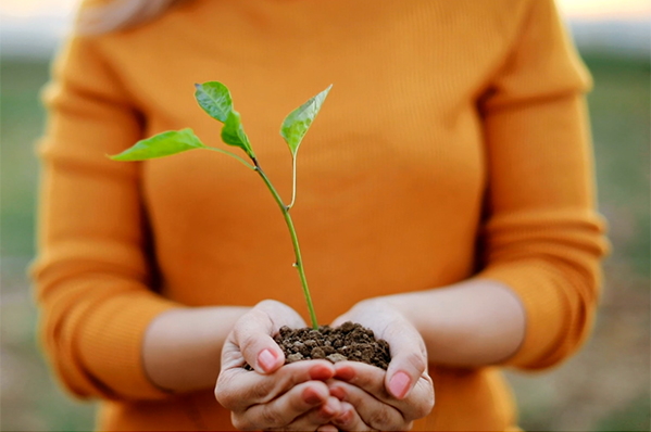 An close up of a woman holding a budding plant in her hands